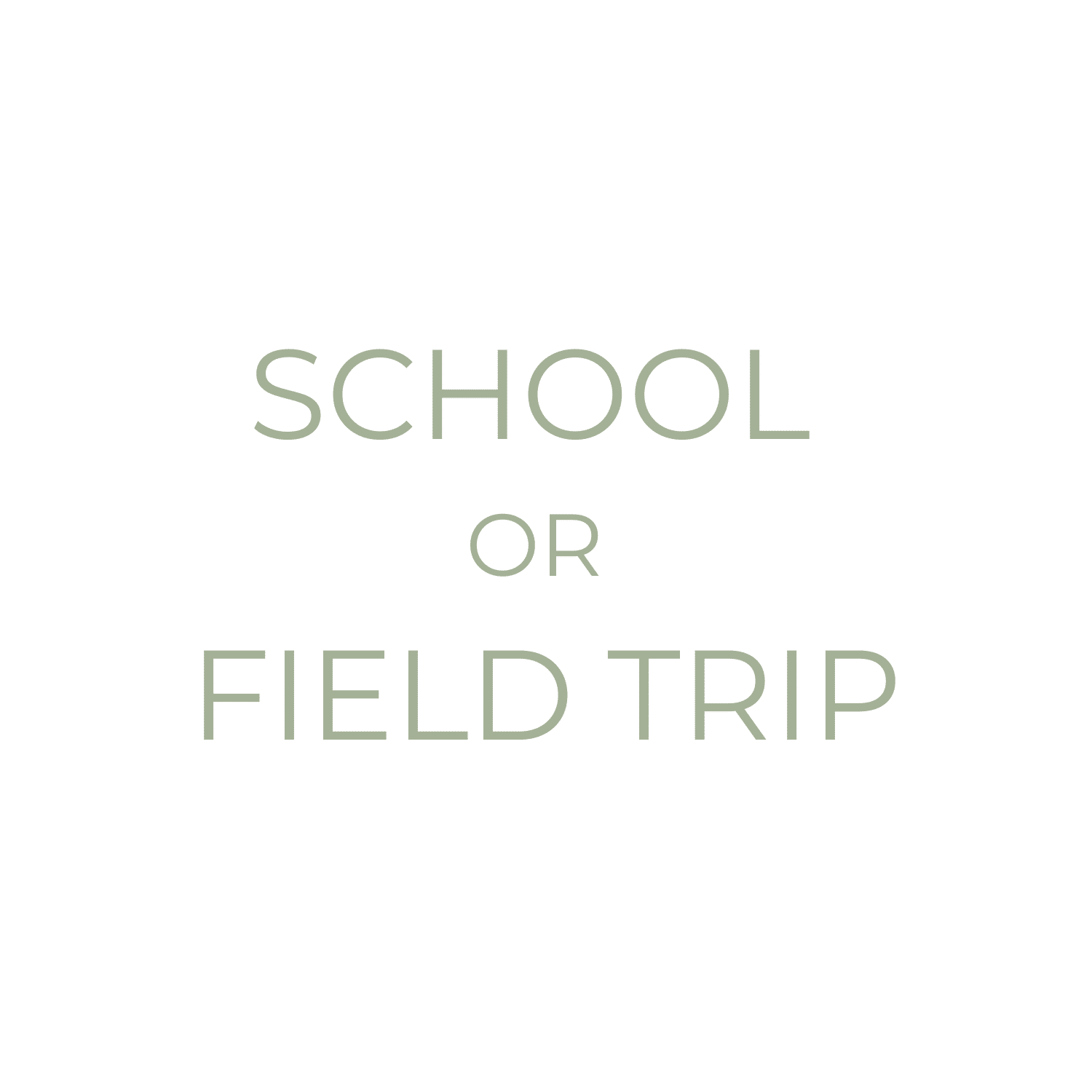 School or Field trip